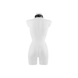 Collar with Leash and Nipple Clamps, 4 Teile