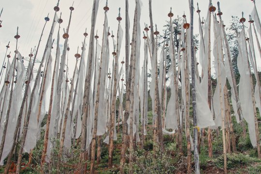 Agent of Happiness - Wo das Glück zu Hause ist - Szenenbild 9