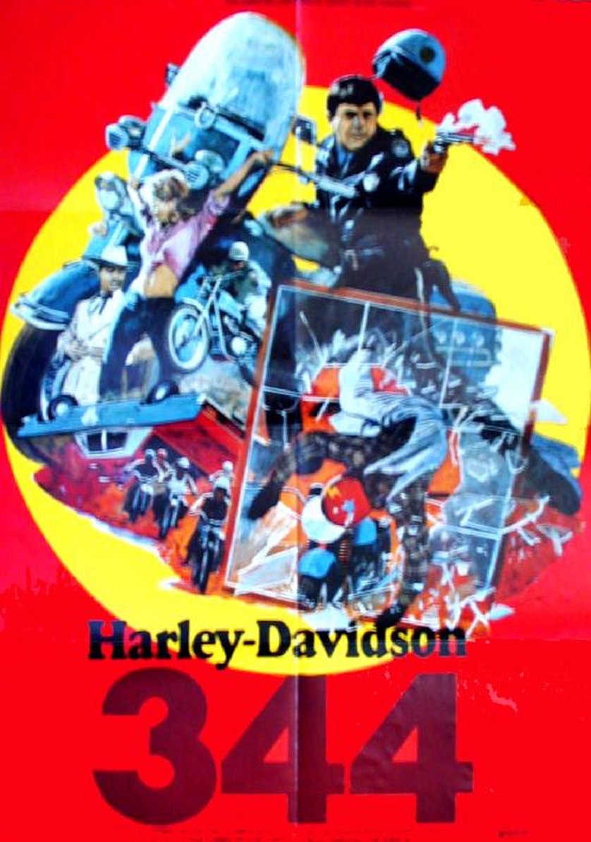 Harley Davidson 344 [1973]