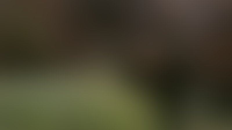 Rise of the Predator - Predator's Prey - Trailer - Englisch - SD