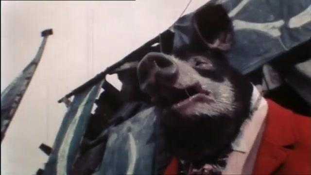 Animal Farm - Farm der Tiere - Trailer - Deutsch