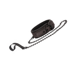 Elegant Collar with Leash