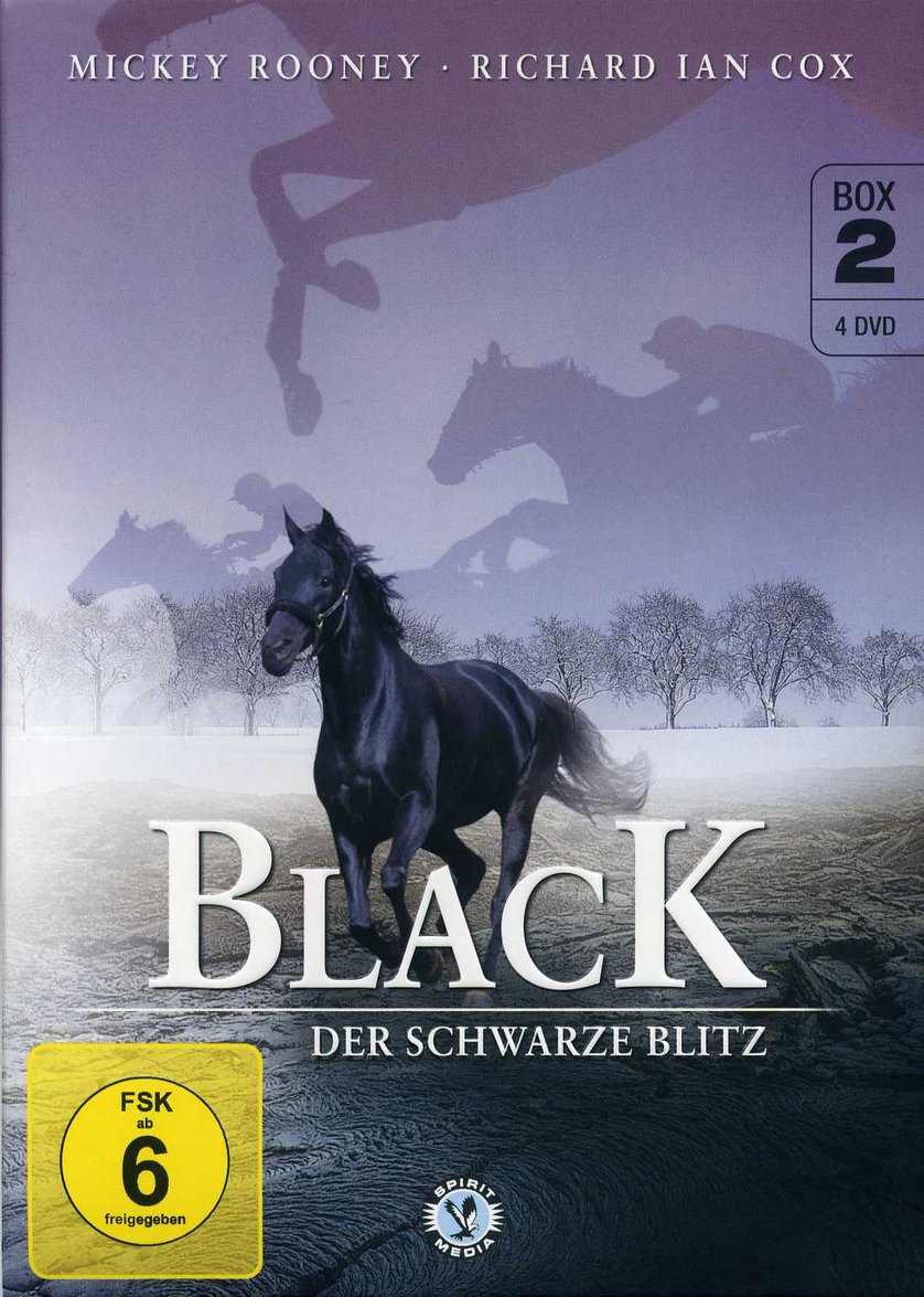 Der Schwarze Blitz