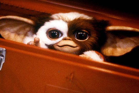 Gremlins 3 - Szenenbild 1