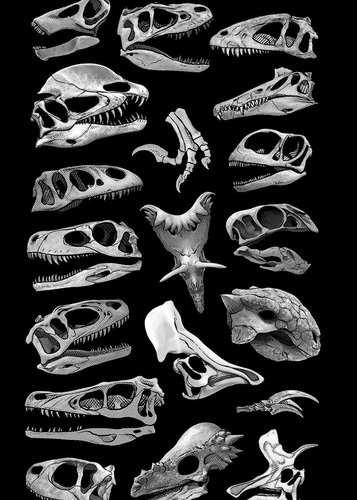 Flowervale Street - Poster 1