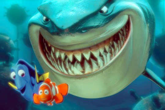 Findet Nemo - Szenenbild 24