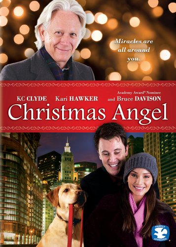 Liebe zu Weihnachten - 6 Filme DVD Collection - Poster 2