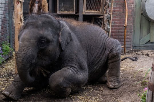 Der Zoo - Szenenbild 1