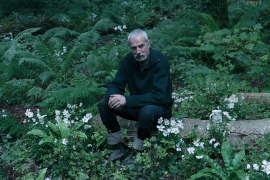 Anemone - Szenenbild 2