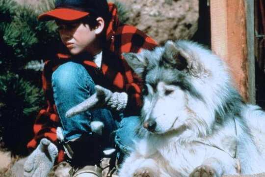 Spirit Dog - Die Fährte des Geisterhundes - Szenenbild 1