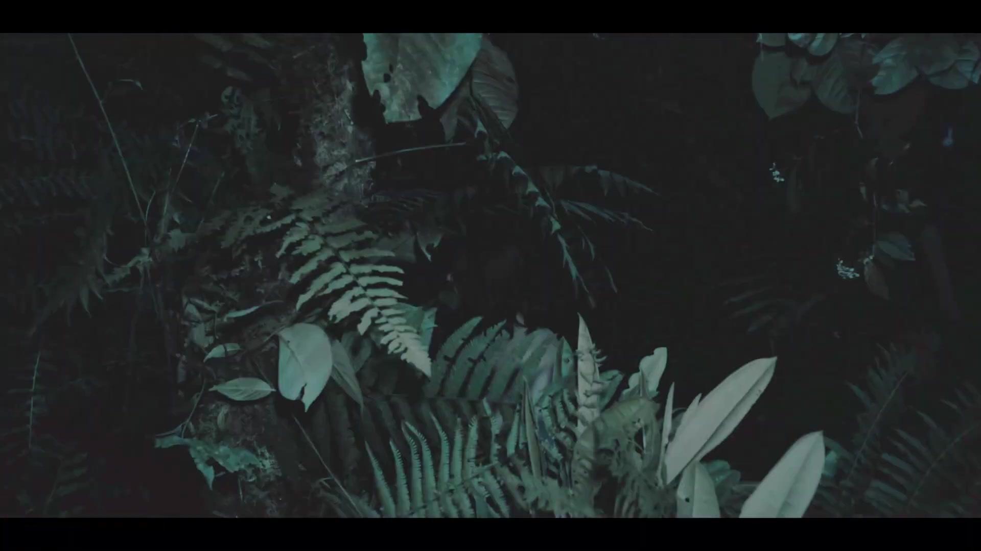 The Devil's Teardrop - Trailer - Deutsch - HD
