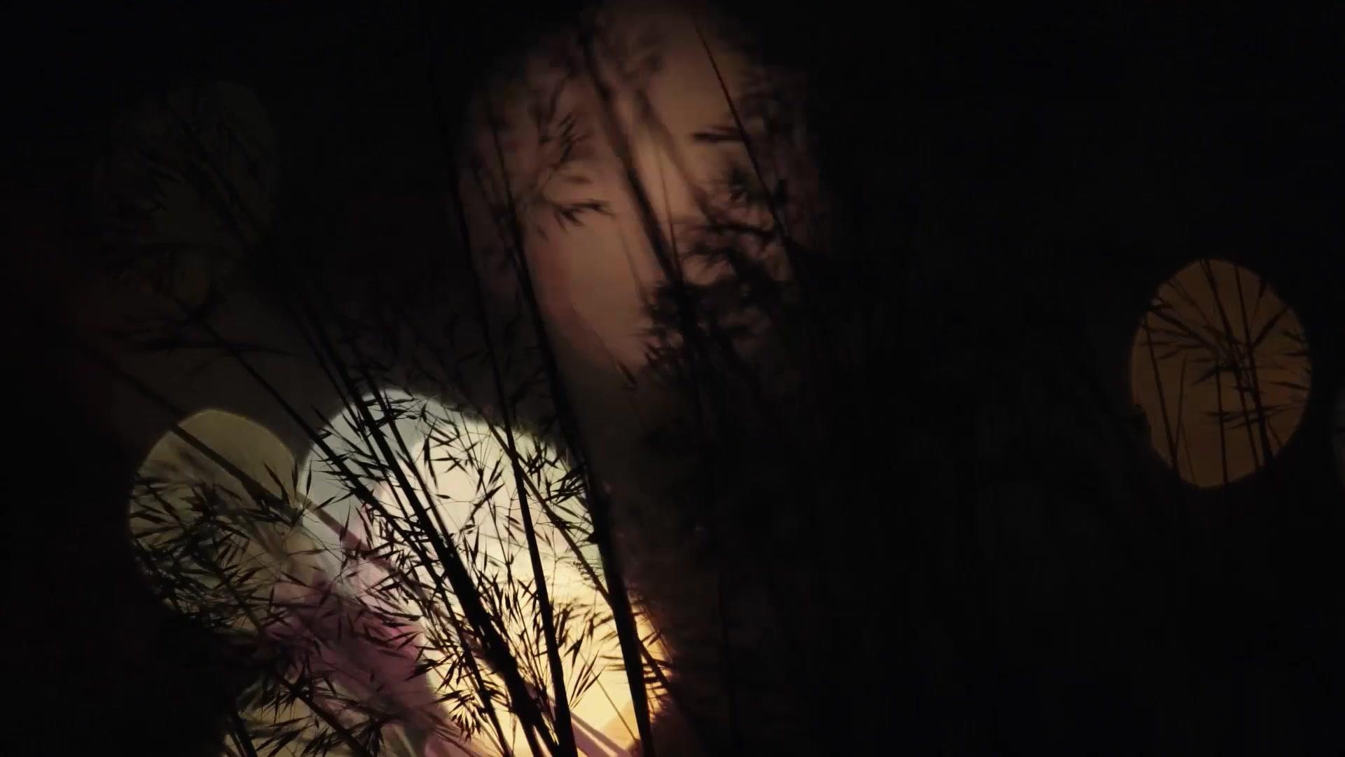 Wolf Walk - Trailer - Englisch - HD