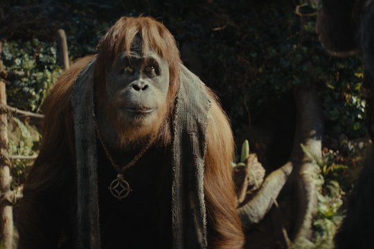 Planet der Affen - New Kingdom - Szenenbild 8