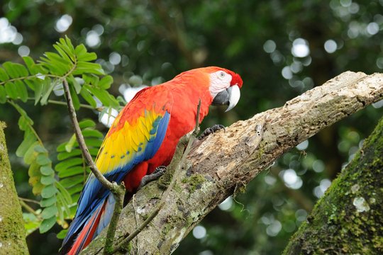 Weltnaturerbe Costa Rica - Guancaste Nationalpark - Szenenbild 1