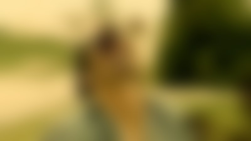 Attack of the Undead - The Walking Death - Trailer - Deutsch - SD