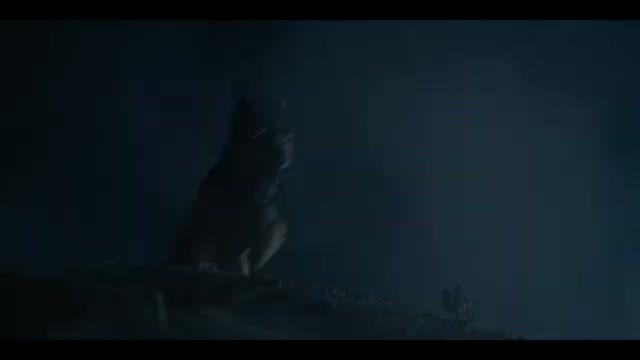 The Dogs - Trailer - Englisch - SD