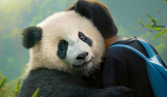 MOON, DER PANDA: Meisterregisseur Gilles de Maistres mit Panda Moon