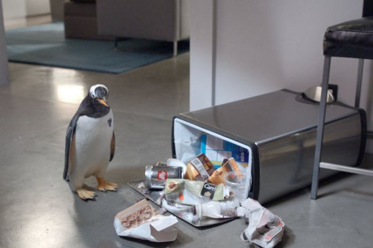 Mr. Poppers Pinguine - Szenenbild 19