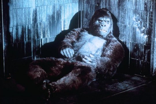 King Kong - Szenenbild 5