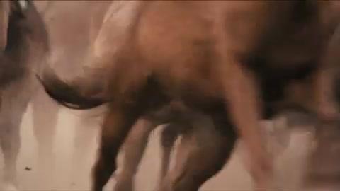 Heathens and Thieves - Trailer - Englisch - SD