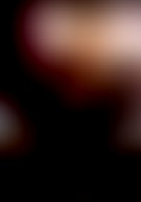 U*d 