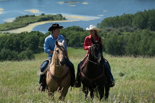 Heartland - Paradies für Pferde - Staffel 8 - Szenenbild 4