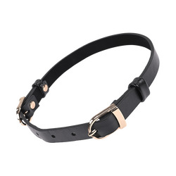 Sex and Mischief - Double Buckle Day Collar