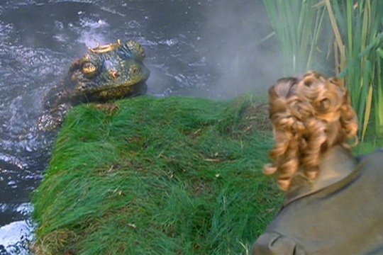 Der Froschkönig - Szenenbild 3