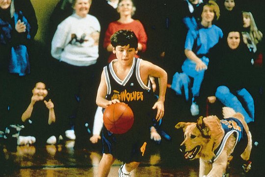 Air Bud - Champion auf vier Pfoten - Szenenbild 2