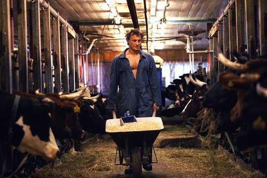 Der Kerl vom Land - Mein Bauer, seine Kuh & Ich - Szenenbild 1