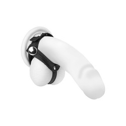 Penis-Hoden-Manschette aus Leder