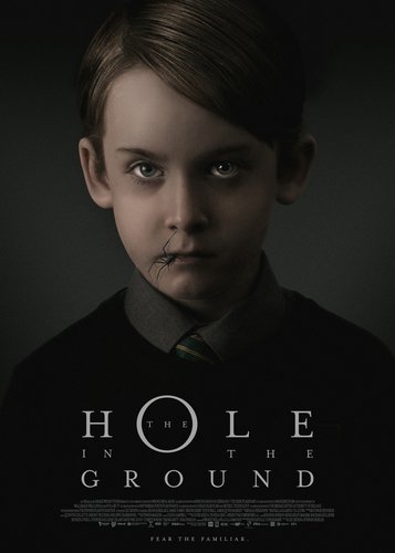 The Hole in the Ground - Poster 2