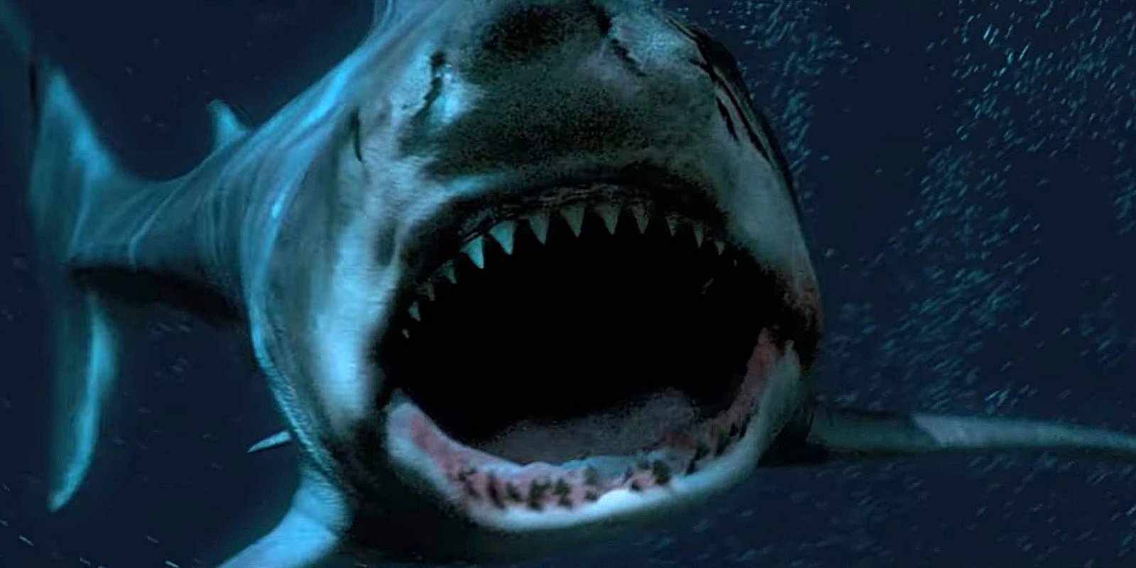 Great White Waters