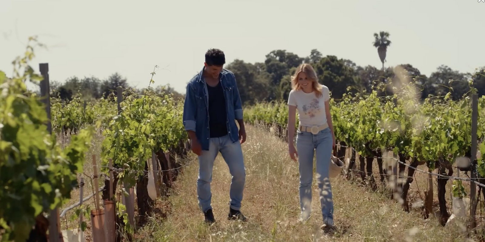 A Toast to Love - Sonne, Rosé und ein Hauch von Liebe