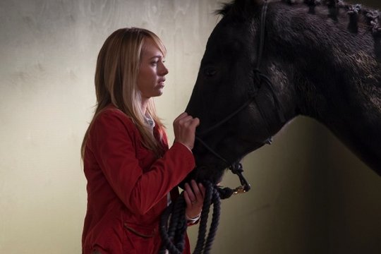 Heartland - Paradies für Pferde - Staffel 6 - Szenenbild 1
