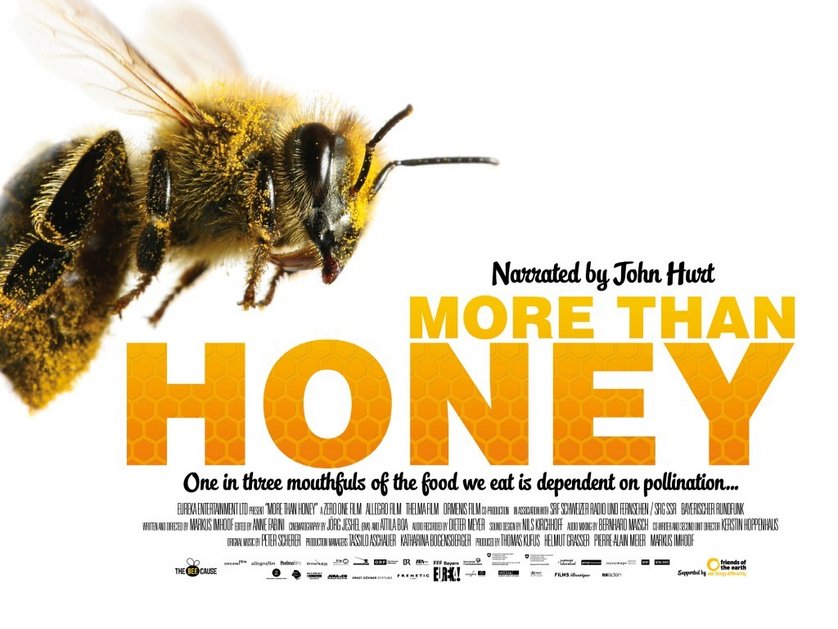 More Than Honey Online Stream Deutsch