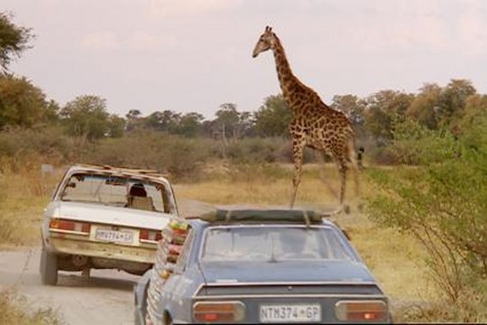 Top Gear - Das Botswana Adventure - Szenenbild 3