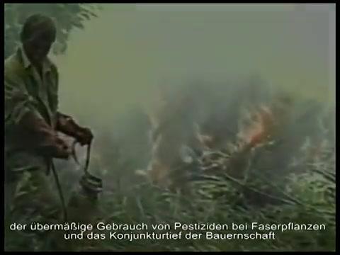 Weed Bandits - Trailer - Deutsch - SD
