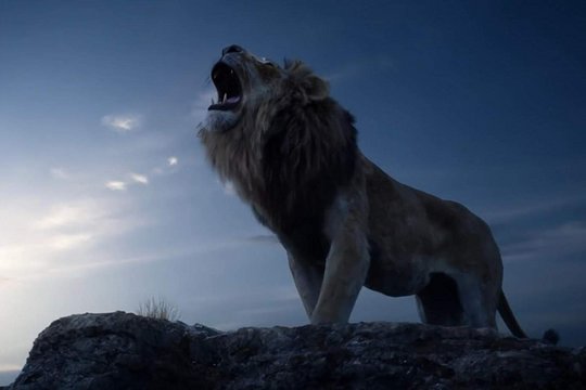Der König der Löwen - Szenenbild 7