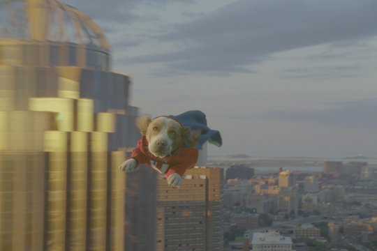 Underdog - Unbesiegt weil er fliegt - Szenenbild 11