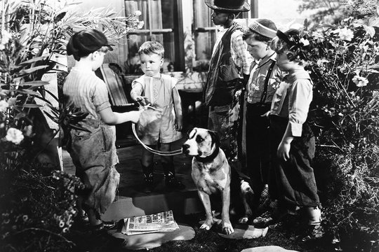 Die kleinen Strolche - 1930-1934 - Szenenbild 5