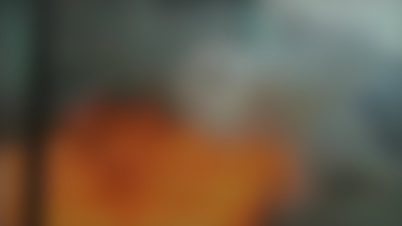 In China essen sie Hunde - Trailer - Dänisch - SD