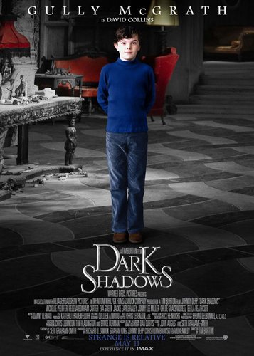 Dark Shadows - Poster 7