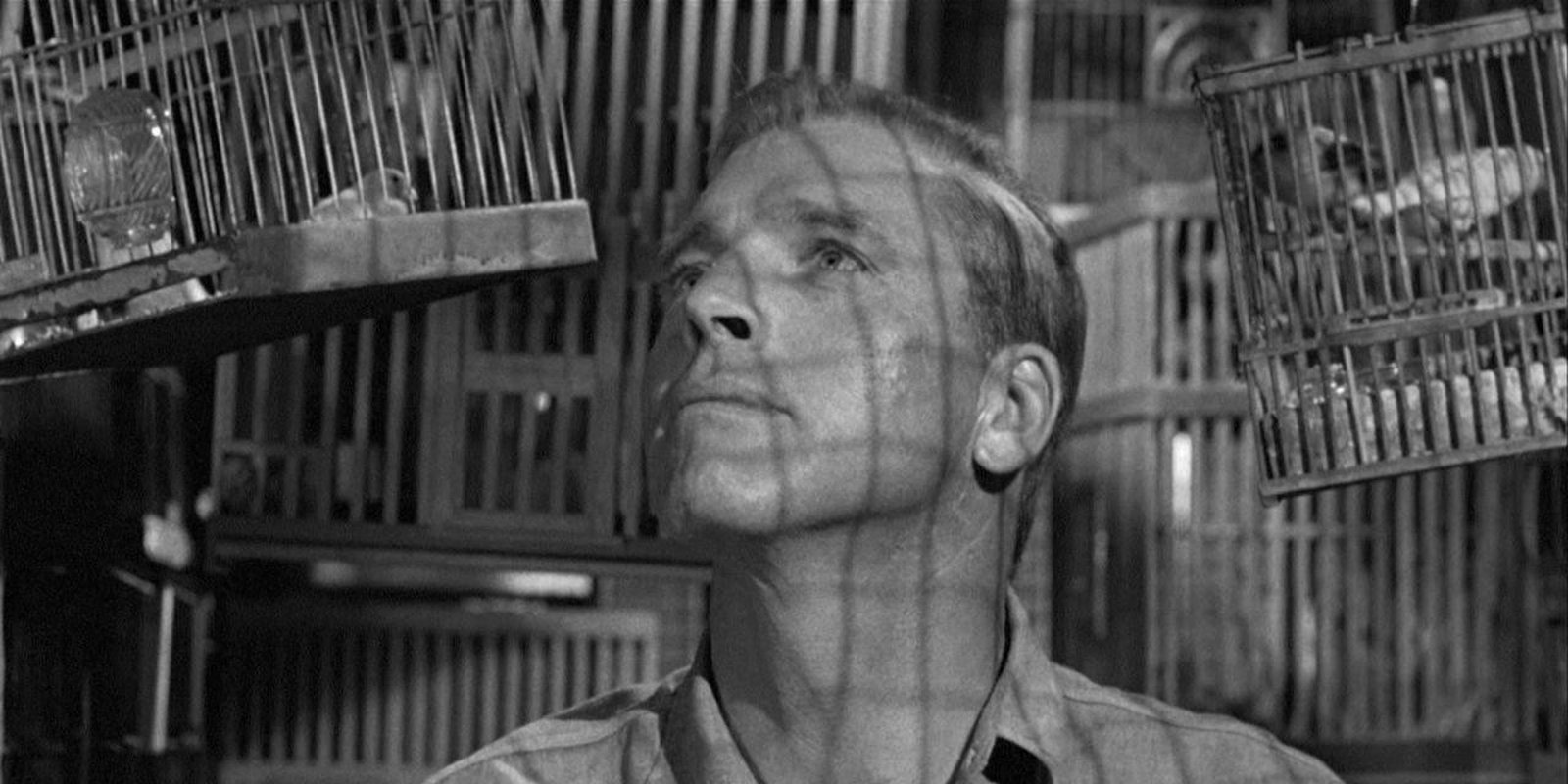 Der Gefangene von Alcatraz