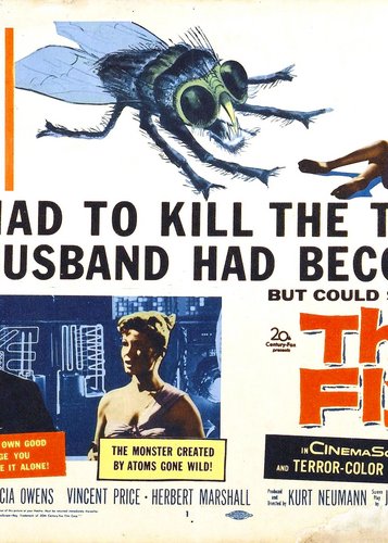 Die Fliege - Poster 7