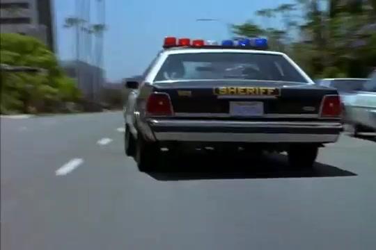 Top Dog - Trailer - Englisch - SD