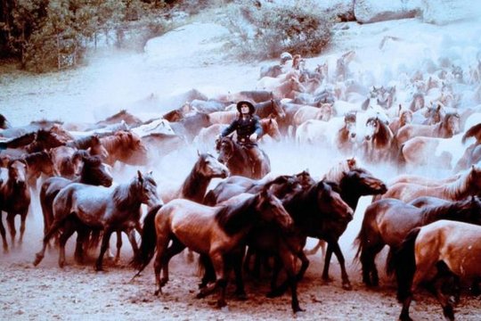 Der Scout - Tausend Mustangs und ein Häuptling - Szenenbild 6
