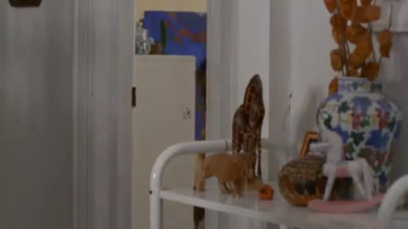 Der Preis der Gefühle Bluray, 4K UHD, DVD leihen VIDEOBUSTER