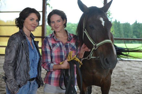 Forsthaus Falkenau - Staffel 24 - Szenenbild 1