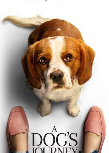 Bailey 2 - Ein Hund kehrt zurück - Poster 8